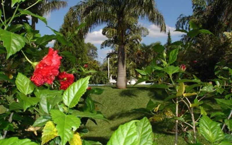 Sergipe, SE, Aracaju, Aluguel temporada,  Alugue temporada, apartamentos para alugar, Casa para alugar,  alugar casas,  aluguel de temporada,  aluguel por temporada, alugar apartamento,  alugar casa, casas pra alugar,  casas alugar, casa alugar, casa temporada, aluguel para temporada,