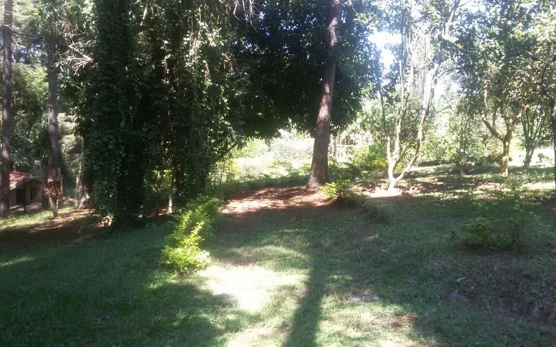 Mato Grosso, MT, Cuiaba, Aluguel temporada,  Alugue temporada, apartamentos para alugar, Casa para alugar,  alugar casas,  aluguel de temporada,  aluguel por temporada, alugar apartamento,  alugar casa, casas pra alugar,  casas alugar, casa alugar, casa temporada, aluguel para temporada,