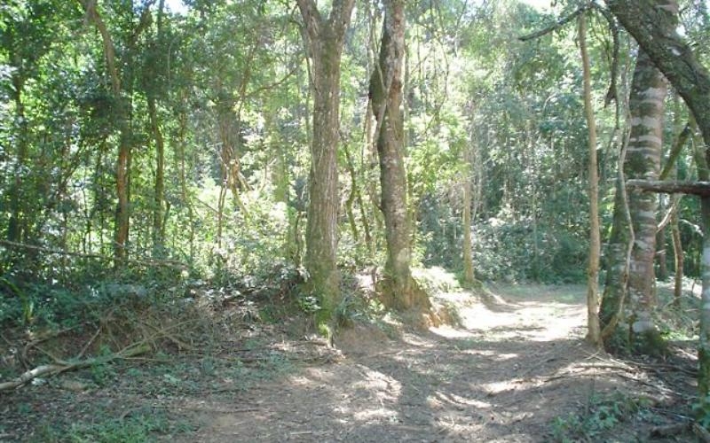 Roraima, RR, Boa Vista, Aluguel temporada,  Alugue temporada, apartamentos para alugar, Casa para alugar,  alugar casas,  aluguel de temporada,  aluguel por temporada, alugar apartamento,  alugar casa, casas pra alugar,  casas alugar, casa alugar, casa temporada, aluguel para temporada,