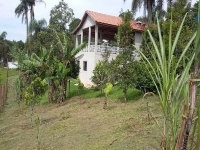 Amapa, AP, Macapa, Aluguel temporada,  Alugue temporada, apartamentos para alugar, Casa para alugar,  alugar casas,  aluguel de temporada,  aluguel por temporada, alugar apartamento,  alugar casa, casas pra alugar,  casas alugar, casa alugar, casa temporada, aluguel para temporada,