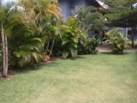 Minas Gerais, MG, Belo Horizonte, Aluguel temporada,  Alugue temporada, apartamentos para alugar, Casa para alugar,  alugar casas,  aluguel de temporada,  aluguel por temporada, alugar apartamento,  alugar casa, casas pra alugar,  casas alugar, casa alugar, casa temporada, aluguel para temporada,