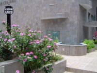 Amazonas, AM, Manaus, Aluguel temporada,  Alugue temporada, apartamentos para alugar, Casa para alugar,  alugar casas,  aluguel de temporada,  aluguel por temporada, alugar apartamento,  alugar casa, casas pra alugar,  casas alugar, casa alugar, casa temporada, aluguel para temporada,