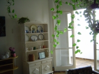 Amazonas, AM, Manaus, Aluguel temporada,  Alugue temporada, apartamentos para alugar, Casa para alugar,  alugar casas,  aluguel de temporada,  aluguel por temporada, alugar apartamento,  alugar casa, casas pra alugar,  casas alugar, casa alugar, casa temporada, aluguel para temporada,