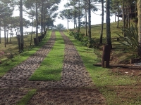 Mato Grosso, MT, Cuiaba, Aluguel temporada,  Alugue temporada, apartamentos para alugar, Casa para alugar,  alugar casas,  aluguel de temporada,  aluguel por temporada, alugar apartamento,  alugar casa, casas pra alugar,  casas alugar, casa alugar, casa temporada, aluguel para temporada,