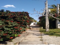 Maranhao, MA, Sao Luis, Aluguel temporada,  Alugue temporada, apartamentos para alugar, Casa para alugar,  alugar casas,  aluguel de temporada,  aluguel por temporada, alugar apartamento,  alugar casa, casas pra alugar,  casas alugar, casa alugar, casa temporada, aluguel para temporada,