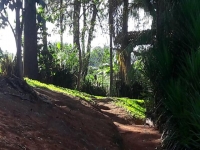 Paraiba, PB, Joao Pessoa, Aluguel temporada,  Alugue temporada, apartamentos para alugar, Casa para alugar,  alugar casas,  aluguel de temporada,  aluguel por temporada, alugar apartamento,  alugar casa, casas pra alugar,  casas alugar, casa alugar, casa temporada, aluguel para temporada,