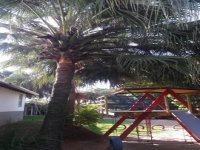 Paraiba, PB, Joao Pessoa, Aluguel temporada,  Alugue temporada, apartamentos para alugar, Casa para alugar,  alugar casas,  aluguel de temporada,  aluguel por temporada, alugar apartamento,  alugar casa, casas pra alugar,  casas alugar, casa alugar, casa temporada, aluguel para temporada,