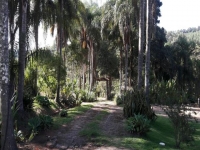 Paraiba, PB, Joao Pessoa, Aluguel temporada,  Alugue temporada, apartamentos para alugar, Casa para alugar,  alugar casas,  aluguel de temporada,  aluguel por temporada, alugar apartamento,  alugar casa, casas pra alugar,  casas alugar, casa alugar, casa temporada, aluguel para temporada,