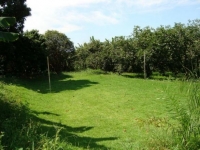 Para, PA, Belem, Aluguel temporada,  Alugue temporada, apartamentos para alugar, Casa para alugar,  alugar casas,  aluguel de temporada,  aluguel por temporada, alugar apartamento,  alugar casa, casas pra alugar,  casas alugar, casa alugar, casa temporada, aluguel para temporada,