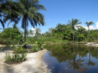 Acre, AC, Rio Branco, Aluguel temporada,  Alugue temporada, apartamentos para alugar, Casa para alugar,  alugar casas,  aluguel de temporada,  aluguel por temporada, alugar apartamento,  alugar casa, casas pra alugar,  casas alugar, casa alugar, casa temporada, aluguel para temporada,