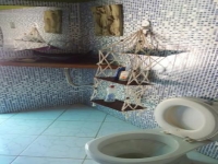 Acre, AC, Rio Branco, Aluguel temporada,  Alugue temporada, apartamentos para alugar, Casa para alugar,  alugar casas,  aluguel de temporada,  aluguel por temporada, alugar apartamento,  alugar casa, casas pra alugar,  casas alugar, casa alugar, casa temporada, aluguel para temporada,