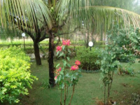 Paraiba, PB, Joao Pessoa, Aluguel temporada,  Alugue temporada, apartamentos para alugar, Casa para alugar,  alugar casas,  aluguel de temporada,  aluguel por temporada, alugar apartamento,  alugar casa, casas pra alugar,  casas alugar, casa alugar, casa temporada, aluguel para temporada,