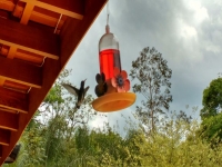 Acre, AC, Rio Branco, Aluguel temporada,  Alugue temporada, apartamentos para alugar, Casa para alugar,  alugar casas,  aluguel de temporada,  aluguel por temporada, alugar apartamento,  alugar casa, casas pra alugar,  casas alugar, casa alugar, casa temporada, aluguel para temporada,