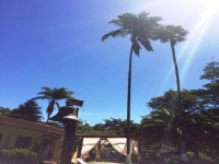 Rondonia, RO, Porto Velho, Aluguel temporada,  Alugue temporada, apartamentos para alugar, Casa para alugar,  alugar casas,  aluguel de temporada,  aluguel por temporada, alugar apartamento,  alugar casa, casas pra alugar,  casas alugar, casa alugar, casa temporada, aluguel para temporada,