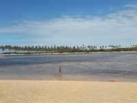 Sergipe, SE, Aracaju, Aluguel temporada,  Alugue temporada, apartamentos para alugar, Casa para alugar,  alugar casas,  aluguel de temporada,  aluguel por temporada, alugar apartamento,  alugar casa, casas pra alugar,  casas alugar, casa alugar, casa temporada, aluguel para temporada,