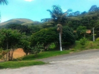 Amazonas, AM, Manaus, Aluguel temporada,  Alugue temporada, apartamentos para alugar, Casa para alugar,  alugar casas,  aluguel de temporada,  aluguel por temporada, alugar apartamento,  alugar casa, casas pra alugar,  casas alugar, casa alugar, casa temporada, aluguel para temporada,