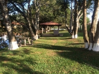 Espirito Santo, ES, Vitória, Aluguel temporada,  Alugue temporada, apartamentos para alugar, Casa para alugar,  alugar casas,  aluguel de temporada,  aluguel por temporada, alugar apartamento,  alugar casa, casas pra alugar,  casas alugar, casa alugar, casa temporada, aluguel para temporada,