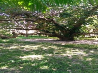 Rio Grande do Sul, RS, Porto Alegre, Aluguel temporada,  Alugue temporada, apartamentos para alugar, Casa para alugar,  alugar casas,  aluguel de temporada,  aluguel por temporada, alugar apartamento,  alugar casa, casas pra alugar,  casas alugar, casa alugar, casa temporada, aluguel para temporada,
