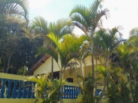 Tocantins, TO, Palmas, Aluguel temporada,  Alugue temporada, apartamentos para alugar, Casa para alugar,  alugar casas,  aluguel de temporada,  aluguel por temporada, alugar apartamento,  alugar casa, casas pra alugar,  casas alugar, casa alugar, casa temporada, aluguel para temporada,