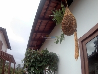 Alagoas, AL, Maceio, Aluguel temporada,  Alugue temporada, apartamentos para alugar, Casa para alugar,  alugar casas,  aluguel de temporada,  aluguel por temporada, alugar apartamento,  alugar casa, casas pra alugar,  casas alugar, casa alugar, casa temporada, aluguel para temporada,