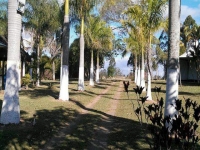 Tocantins, TO, Palmas, Aluguel temporada,  Alugue temporada, apartamentos para alugar, Casa para alugar,  alugar casas,  aluguel de temporada,  aluguel por temporada, alugar apartamento,  alugar casa, casas pra alugar,  casas alugar, casa alugar, casa temporada, aluguel para temporada,