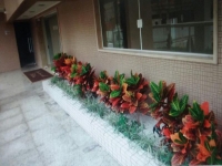Mato Grosso, MT, Cuiaba, Aluguel temporada,  Alugue temporada, apartamentos para alugar, Casa para alugar,  alugar casas,  aluguel de temporada,  aluguel por temporada, alugar apartamento,  alugar casa, casas pra alugar,  casas alugar, casa alugar, casa temporada, aluguel para temporada,