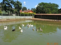 foto 21